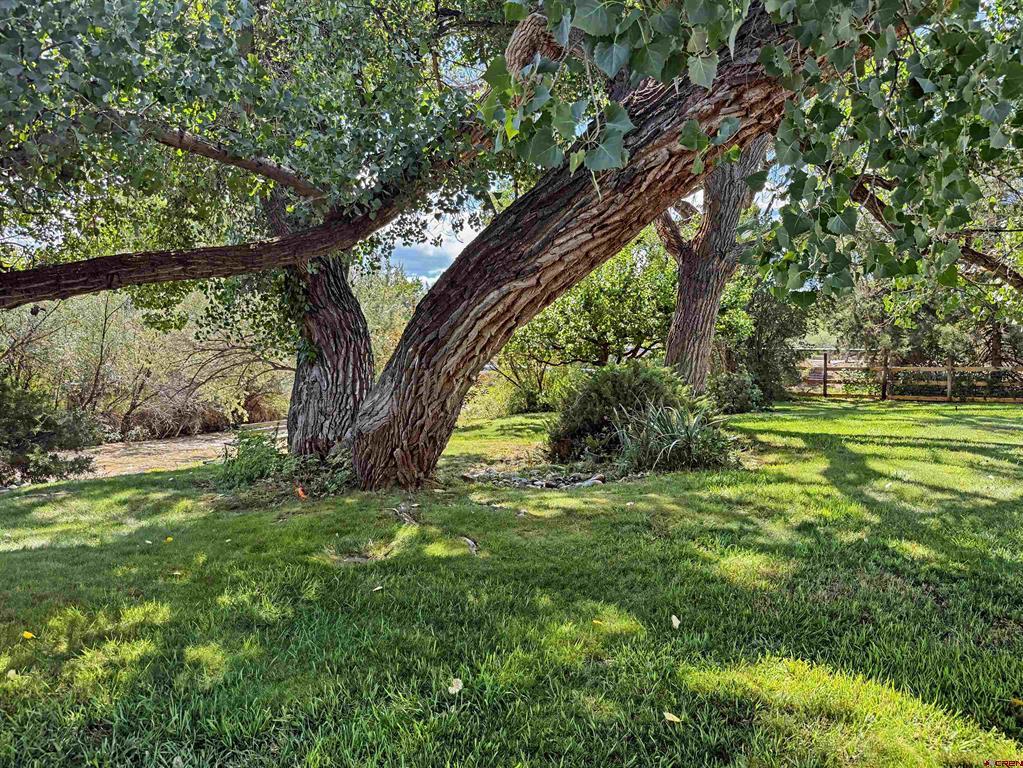 18569 B Road Property Photo 4
