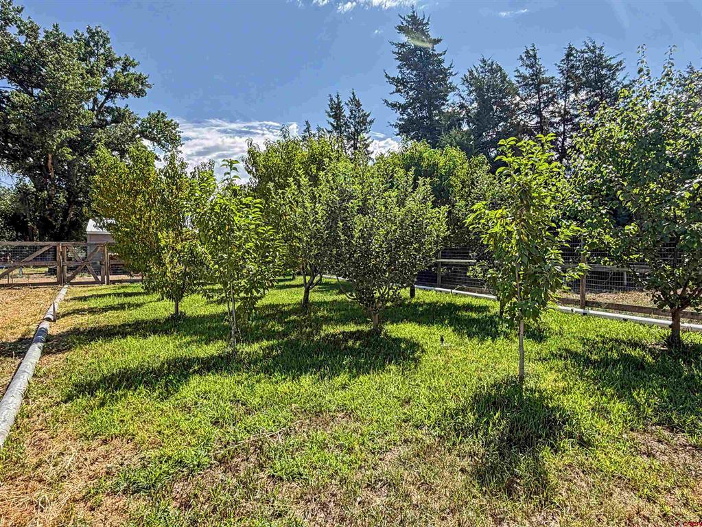 18569 B Road Property Photo 37