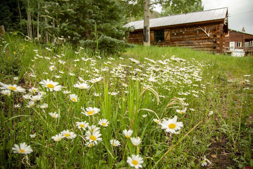 2150 Usfs 521 Road Property Photo 29
