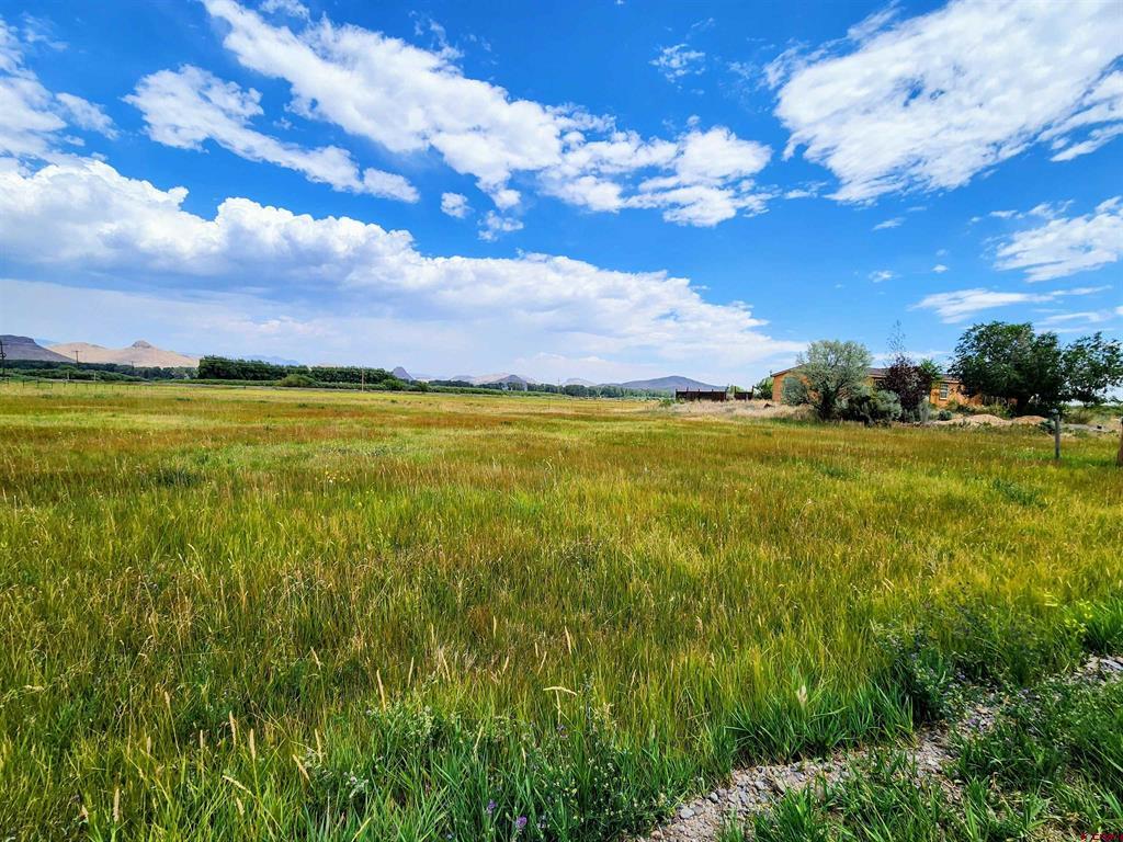 15934 Hwy 160 Highway Property Photo 6