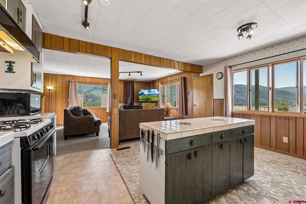17473 County Road 501 Property Photo 17