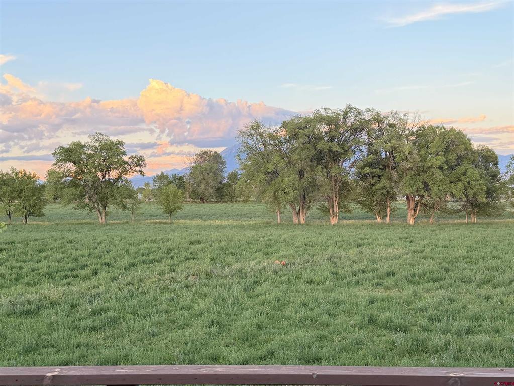 31061 J Road Property Photo 7