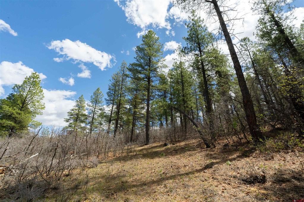 422 Oakridge Drive Property Photo 6