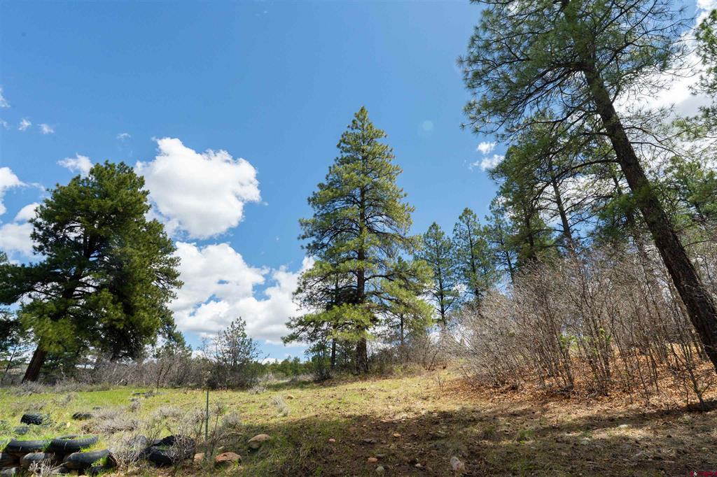 422 Oakridge Drive Property Photo 15