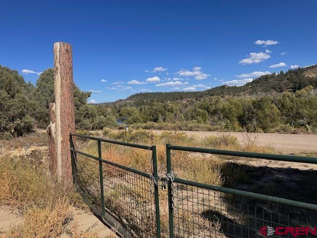 16400 County Road 500 Property Photo 6