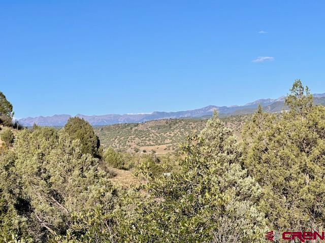 16400 County Road 500 Property Photo 13