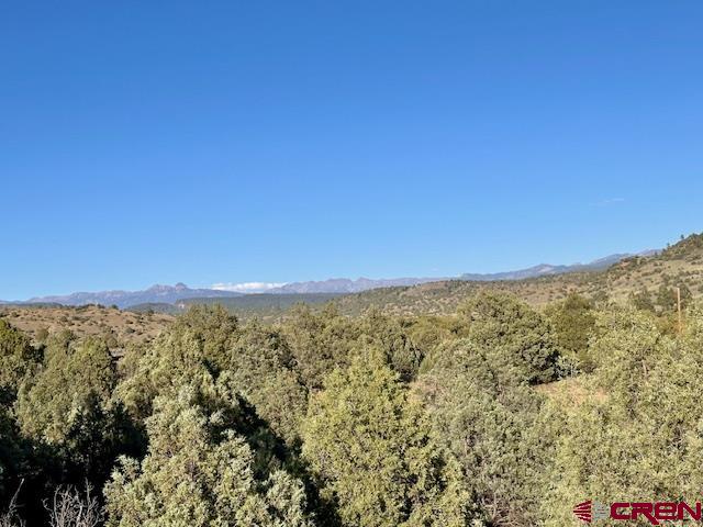 16400 County Road 500 Property Photo 15