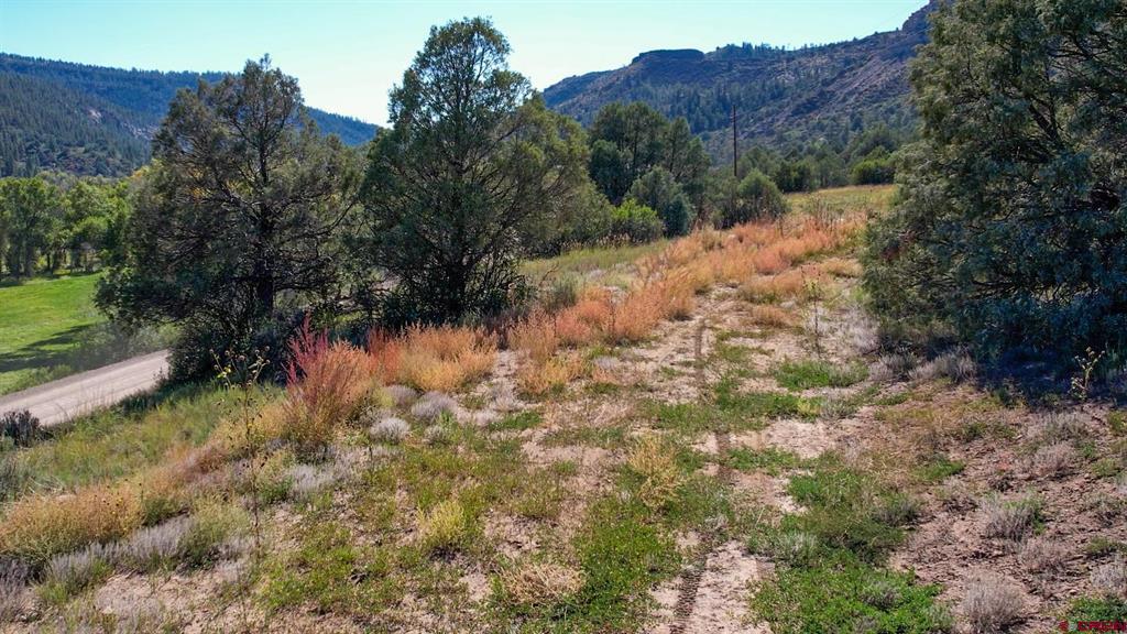 16400 County Road 500 Property Photo 26
