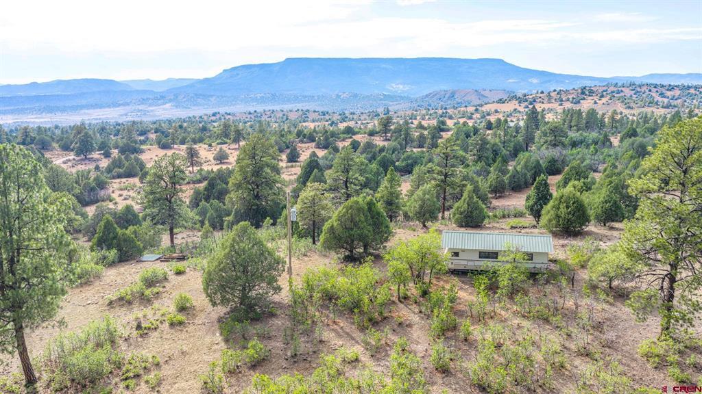 14191 B Us-64 Property Photo 19