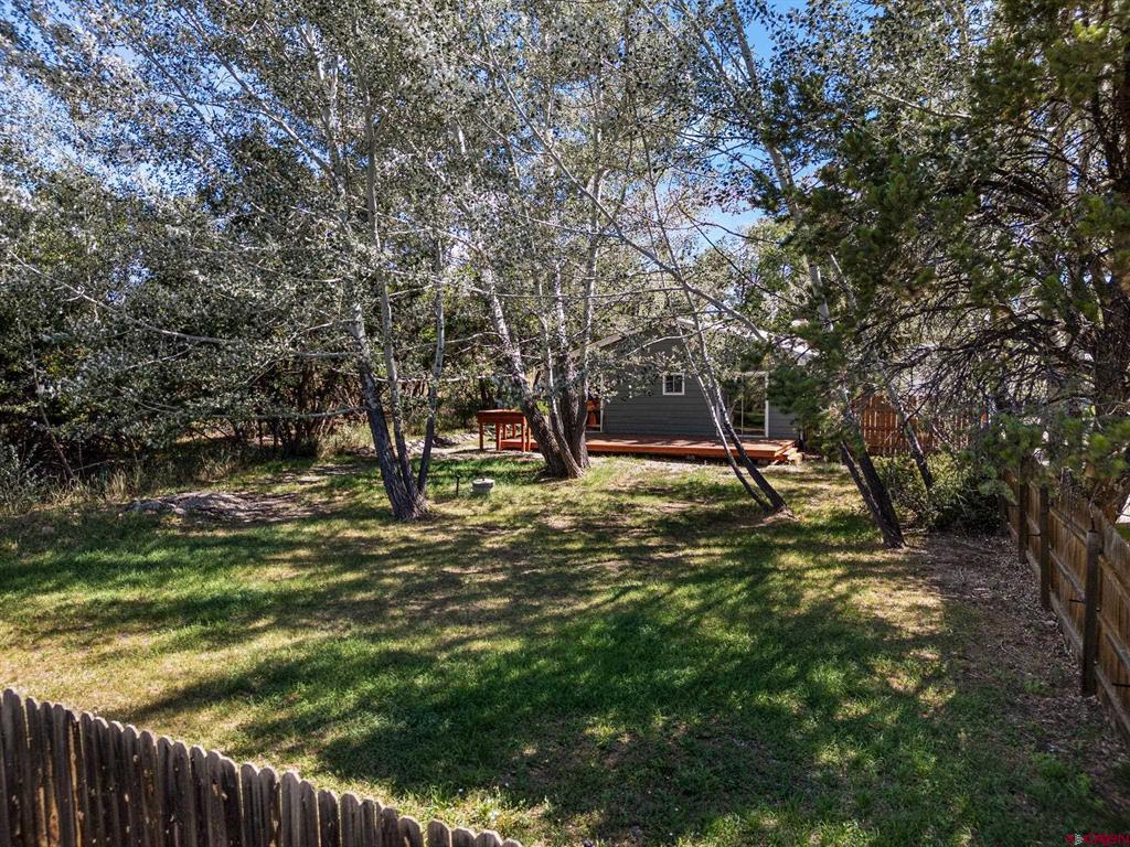 318 County Road 233 Property Photo 9