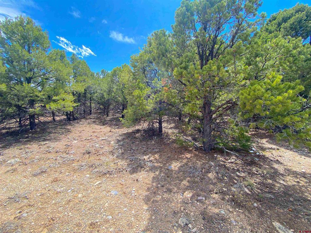Tbd (lot 37) Pine Drive Property Photo 3
