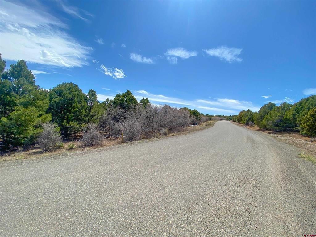 Tbd (lot 37) Pine Drive Property Photo 7