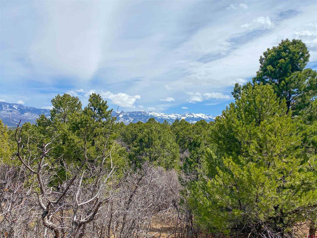 Tbd (lot 37) Pine Drive Property Photo 11