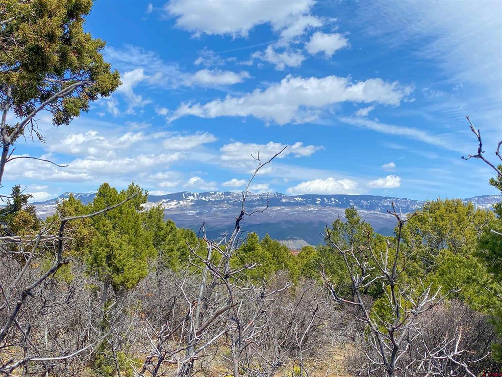 Tbd (lot 37) Pine Drive Property Photo 13