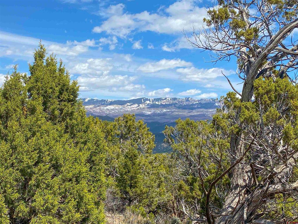 Tbd (lot 37) Pine Drive Property Photo 16