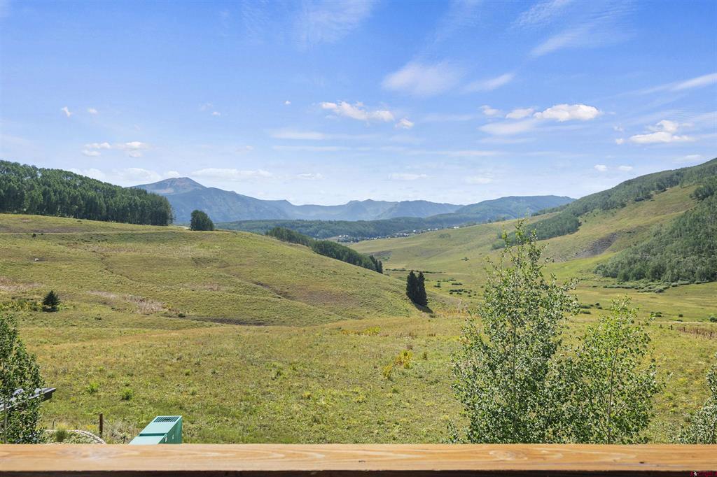 45 Paradise Road Property Photo 35
