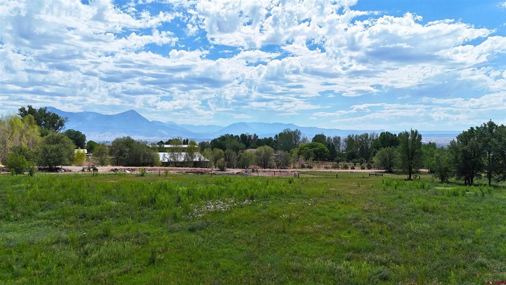 31490 Highway 92 Property Photo 34