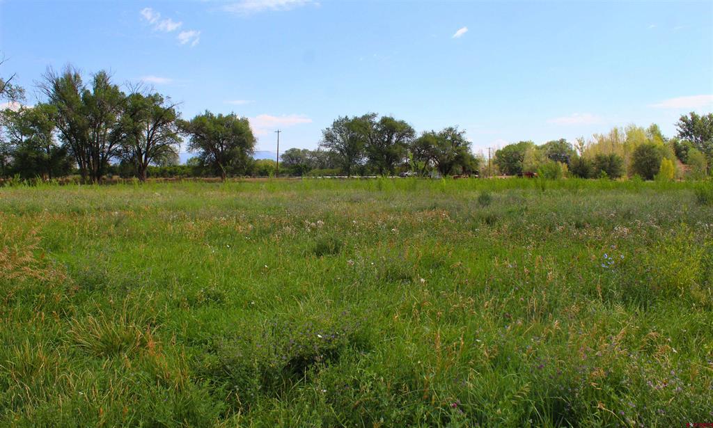 31490 Highway 92 Property Photo 37