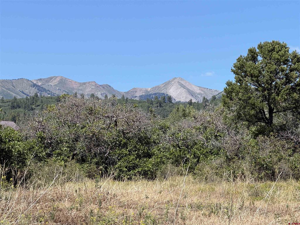 Tbd Roberts Ridge Road Property Photo 1