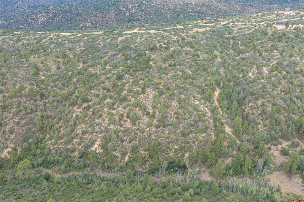 Tbd Roberts Ridge Road Property Photo 2