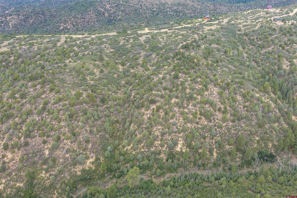 Tbd Roberts Ridge Road Property Photo 4