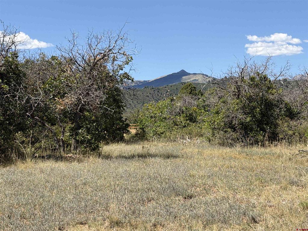 Tbd Roberts Ridge Road Property Photo 8