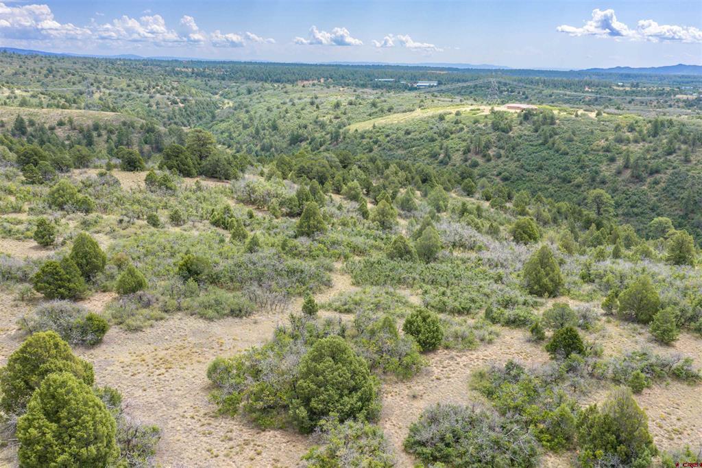 Tbd Roberts Ridge Road Property Photo 11