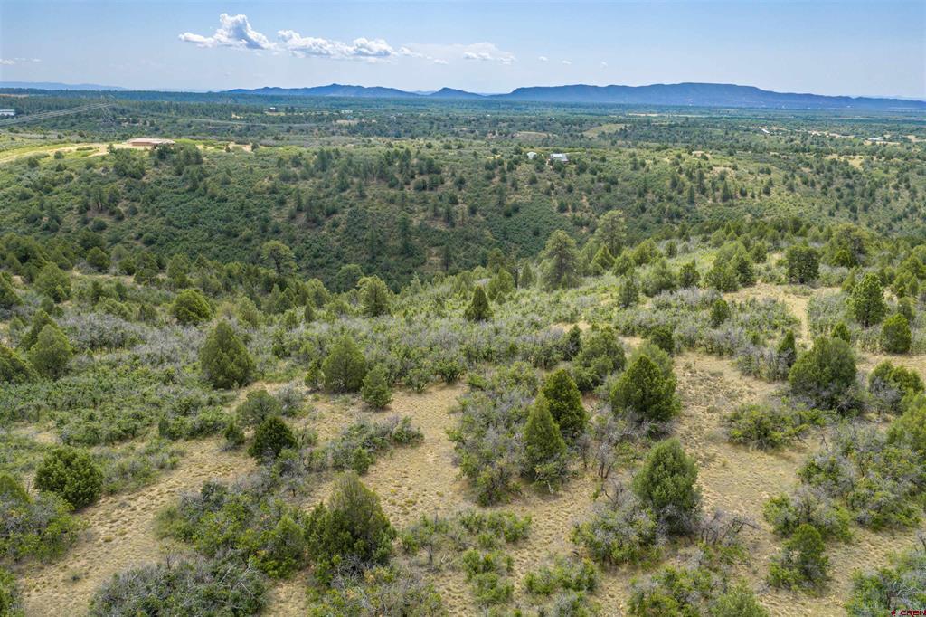 Tbd Roberts Ridge Road Property Photo 12