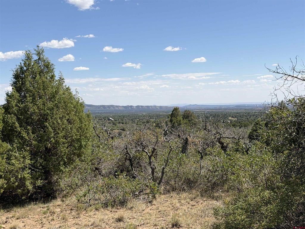 Tbd Roberts Ridge Road Property Photo 13