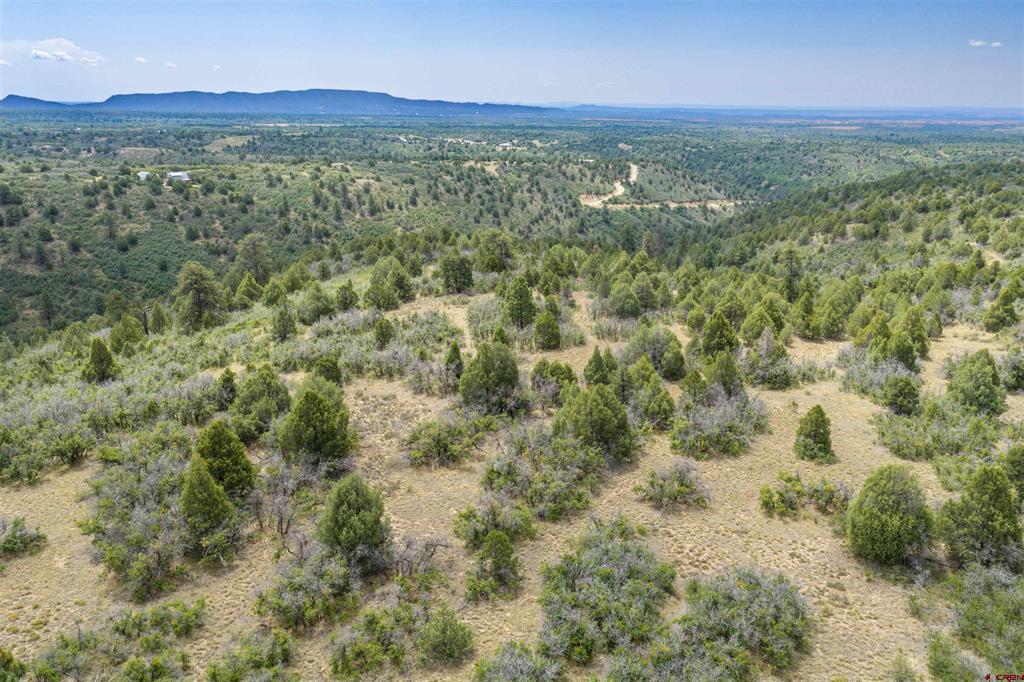 Tbd Roberts Ridge Road Property Photo 14