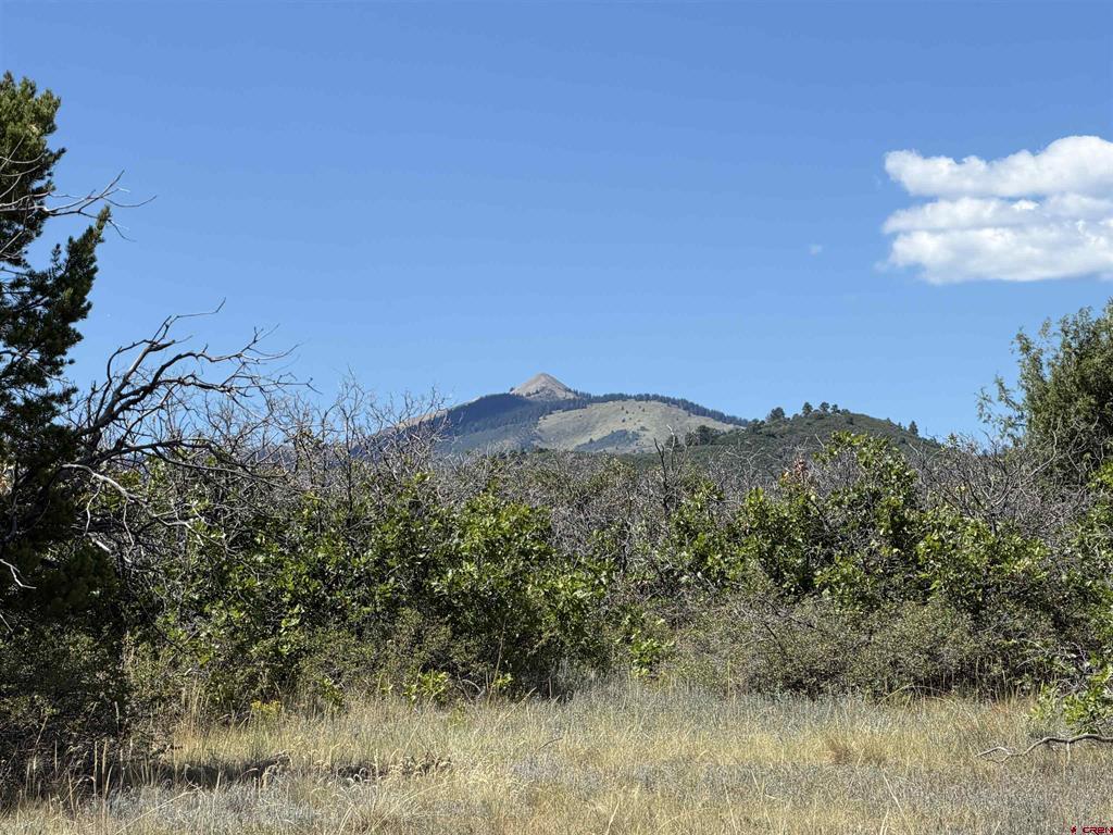 Tbd Roberts Ridge Road Property Photo 15