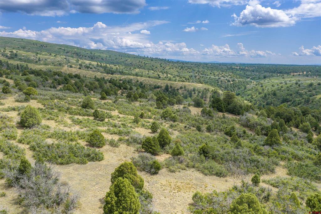 Tbd Roberts Ridge Road Property Photo 19