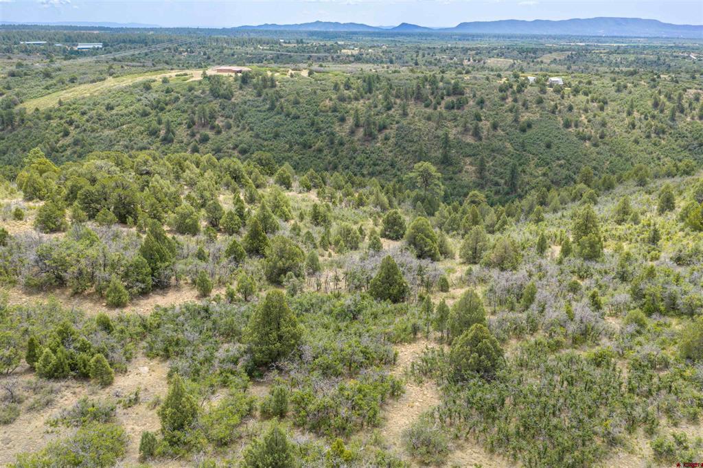Tbd Roberts Ridge Road Property Photo 20
