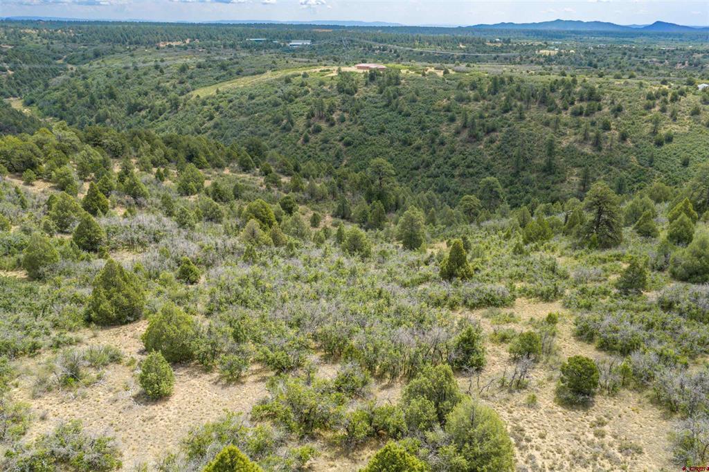 Tbd Roberts Ridge Road Property Photo 21