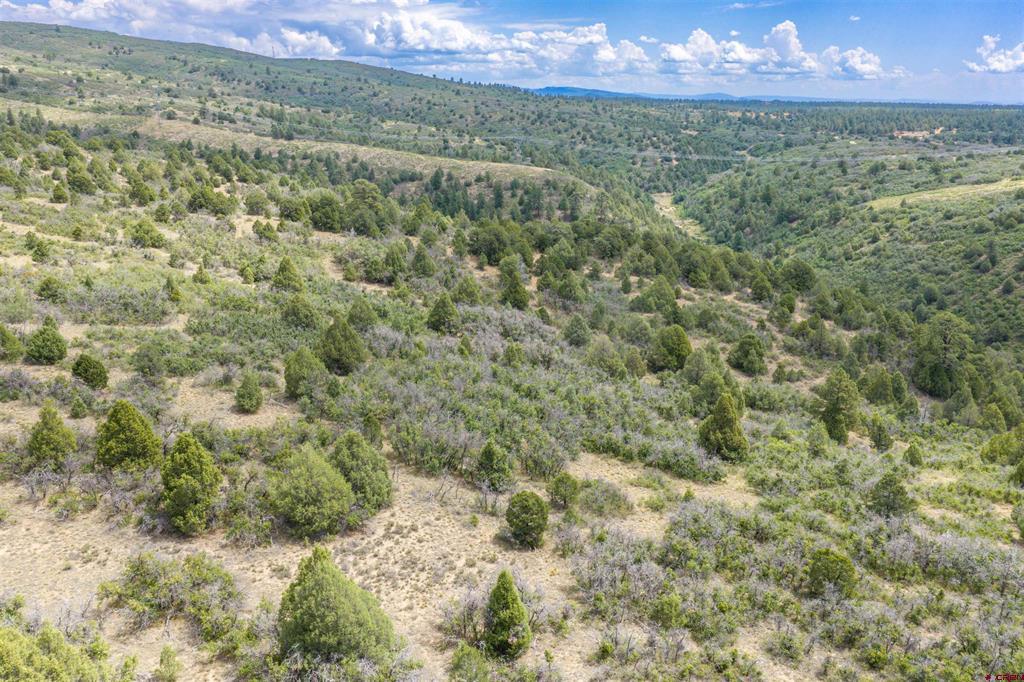 Tbd Roberts Ridge Road Property Photo 22