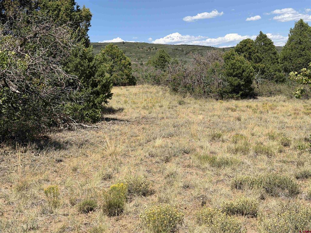 Tbd Roberts Ridge Road Property Photo 24