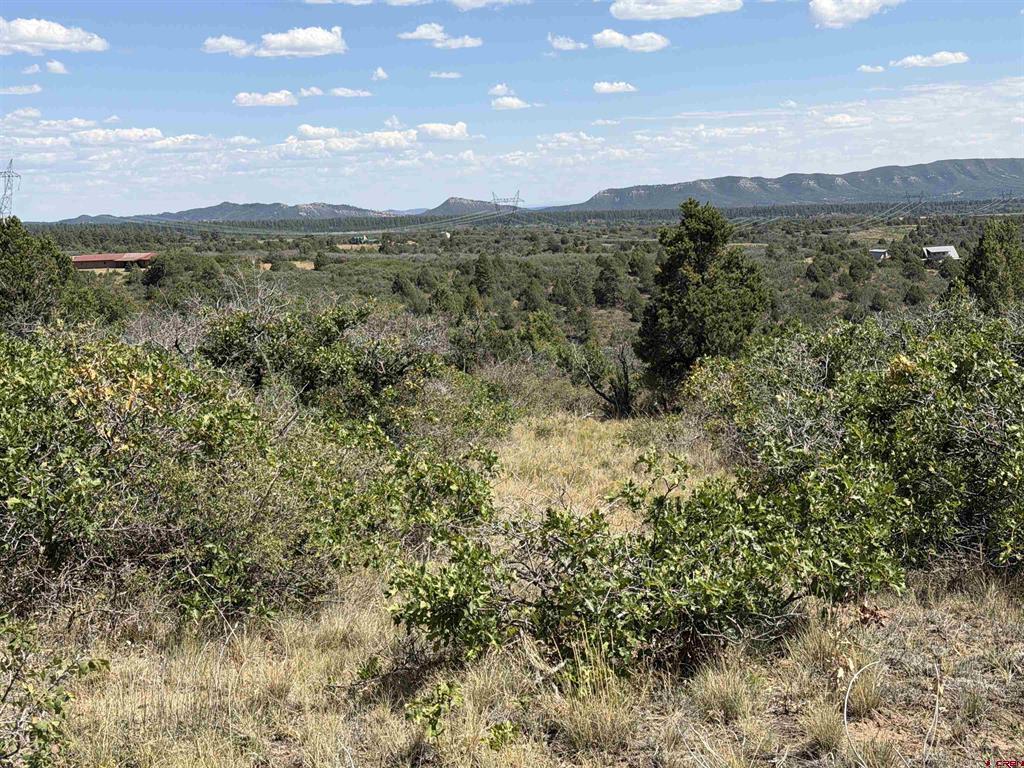 Tbd Roberts Ridge Road Property Photo 25