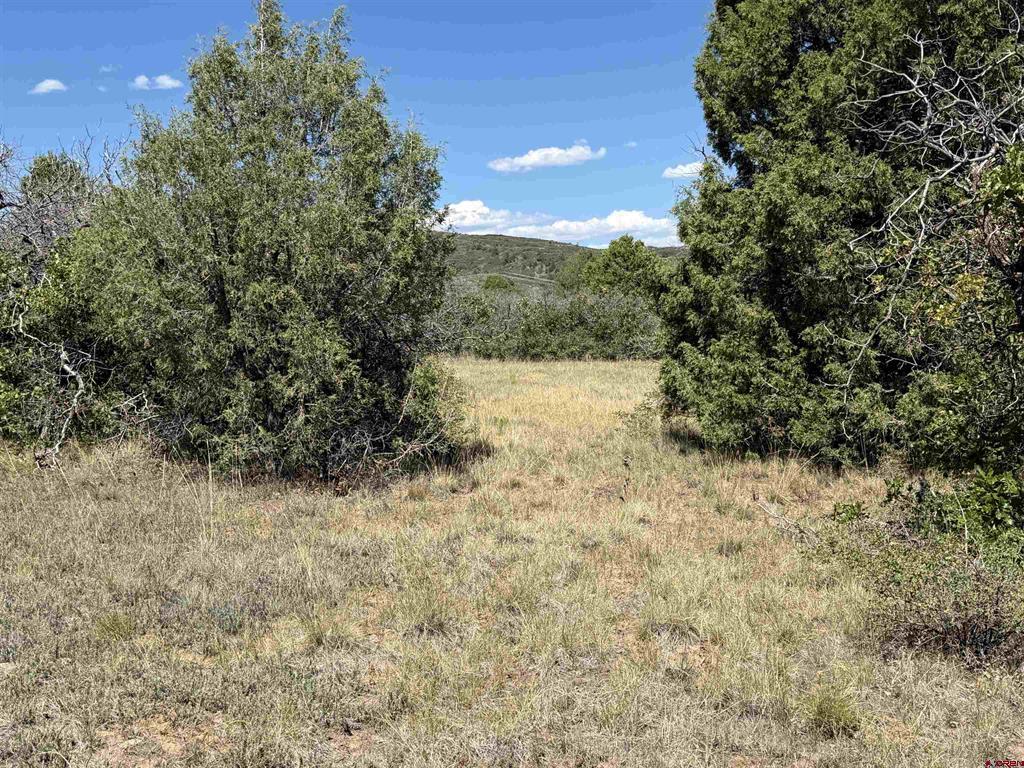 Tbd Roberts Ridge Road Property Photo 27