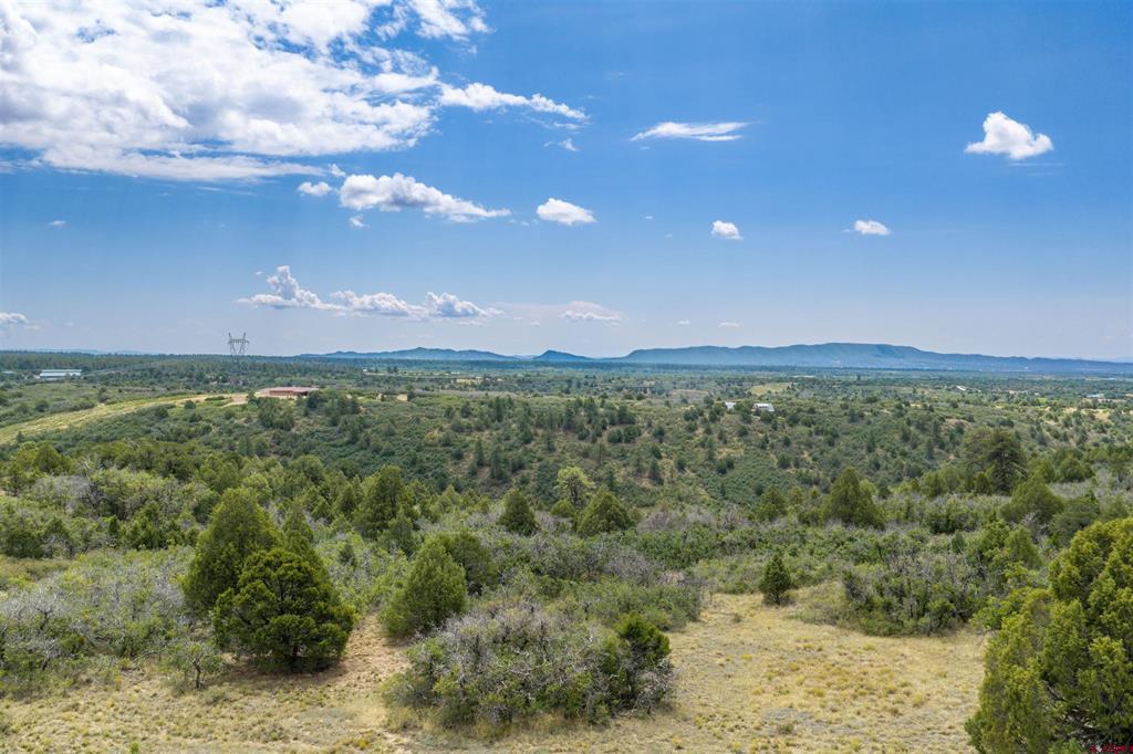 Tbd Roberts Ridge Road Property Photo 28