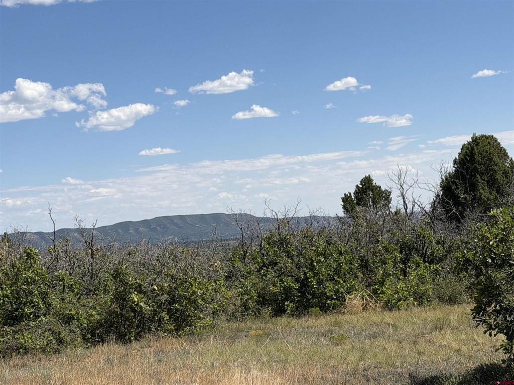 Tbd Roberts Ridge Road Property Photo 29