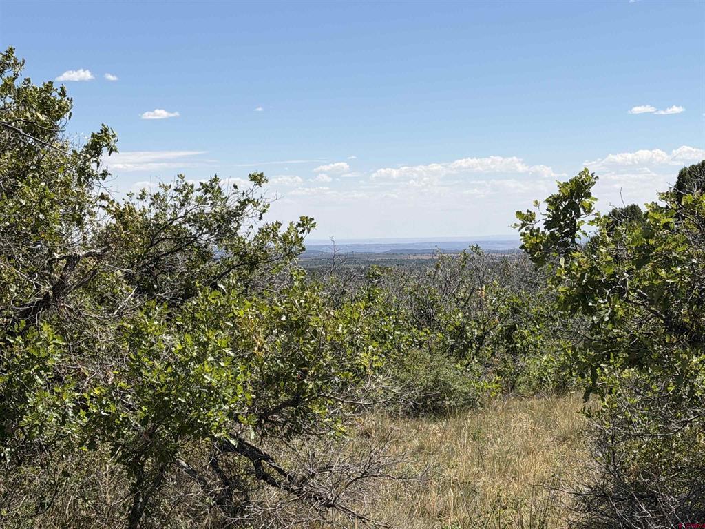 Tbd Roberts Ridge Road Property Photo 30