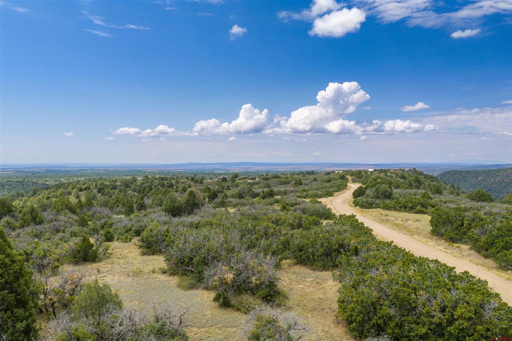 Tbd Roberts Ridge Road Property Photo 31