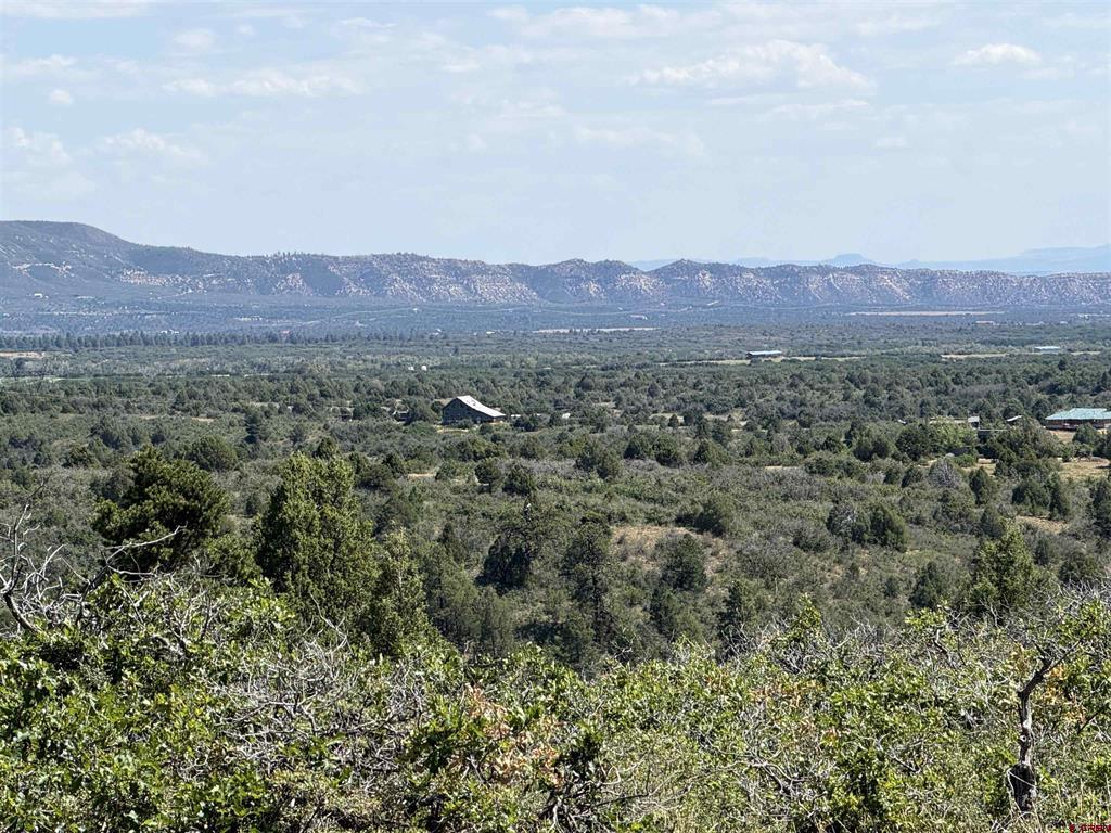 Tbd Roberts Ridge Road Property Photo 33