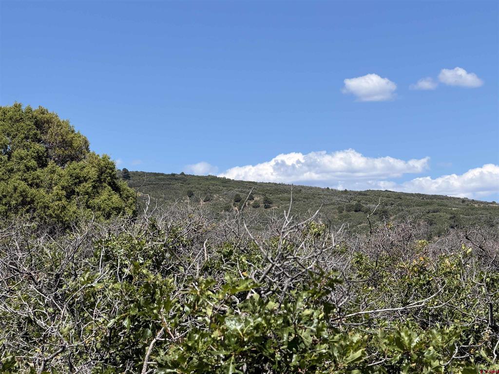 Tbd Roberts Ridge Road Property Photo 34