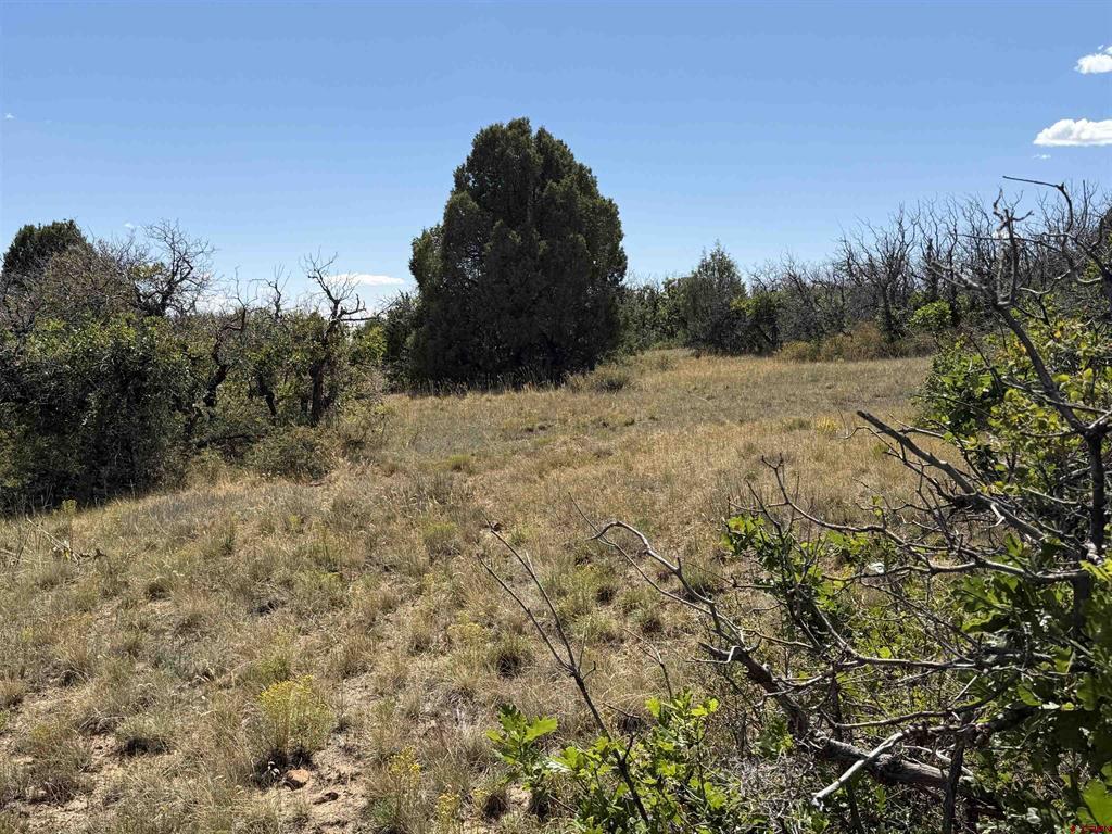 Tbd Roberts Ridge Road Property Photo 35