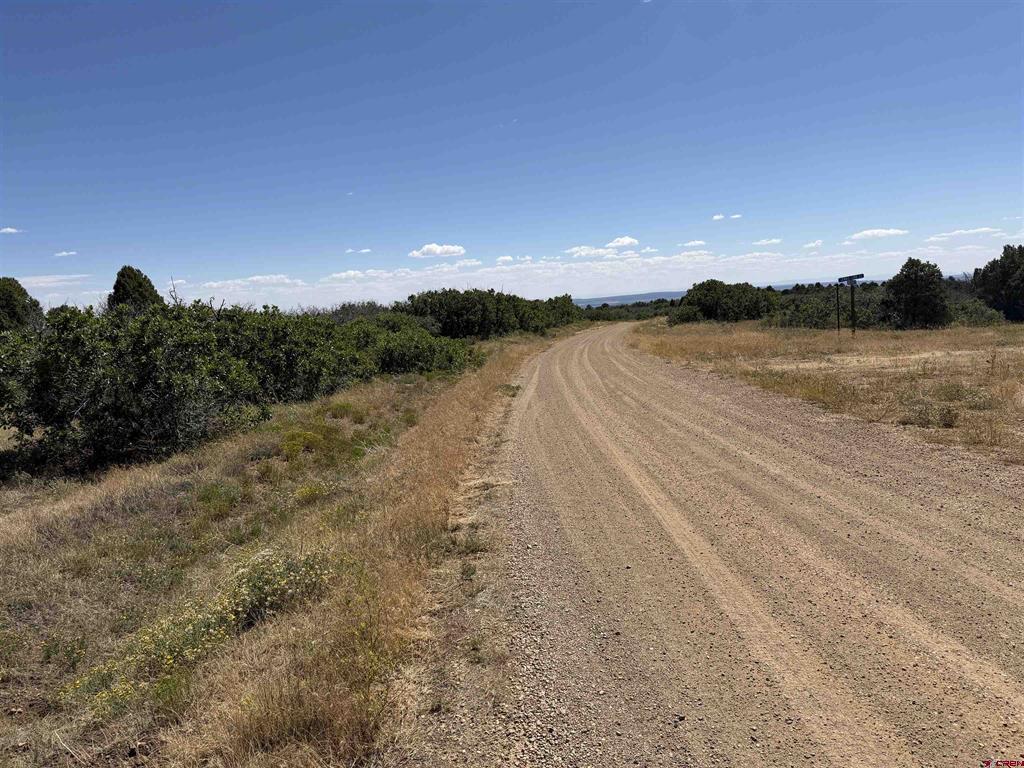 Tbd Roberts Ridge Road Property Photo 37