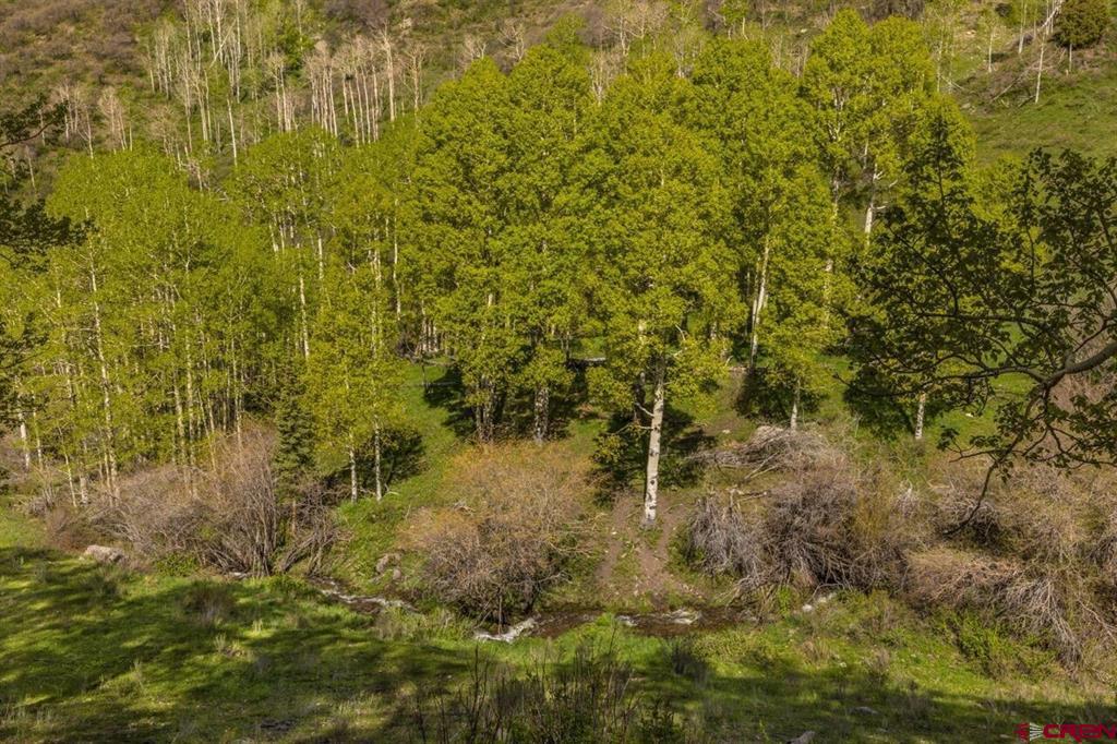 107 Joaquin Road Property Photo 29