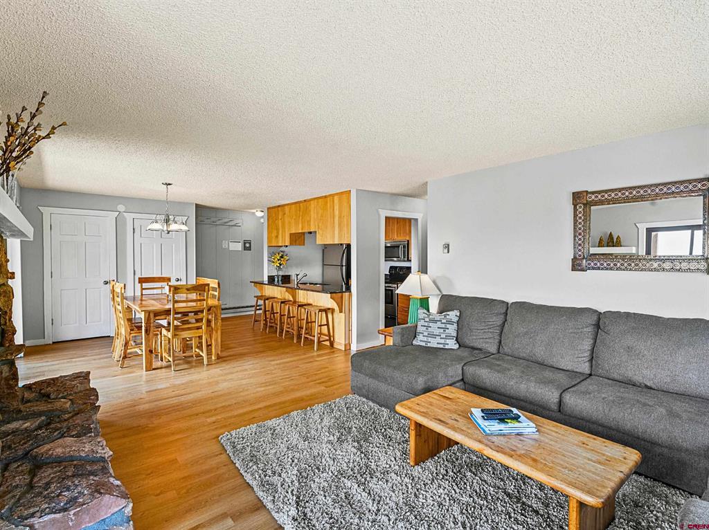17 Treasury Road Property Photo 4