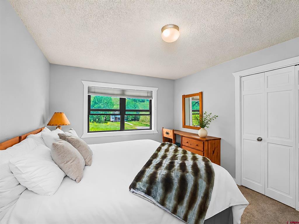 17 Treasury Road Property Photo 13