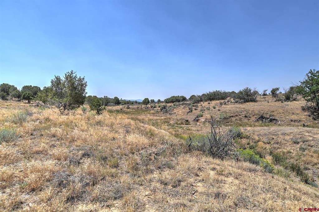 245 Etta Place Property Photo 40